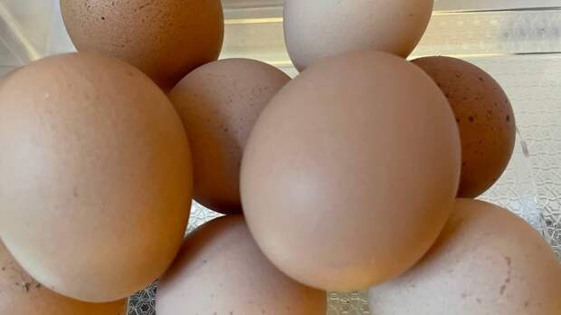 Выяснилось, сколько яиц можно съедать в день без вреда