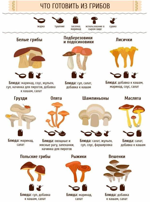 Крутые шпаргалки от шеф-поваров