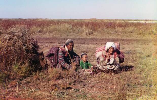 Киргизы-кочевники в Голодной степи (нынешний Узбекистан и Казахстан), около 1910 года. (Prokudin-Gorskii Collection/LOC) империя., путешествия, цветное фото