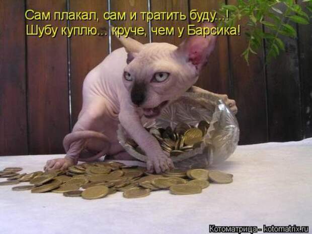 Котоматрицы(картинки с надписями)