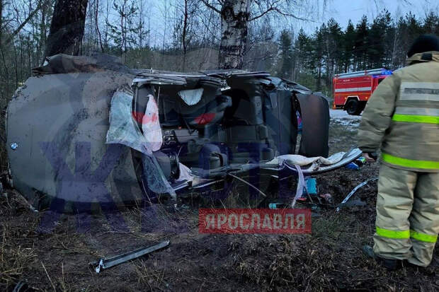 В Ярославле BMW с людьми разбилось, врезавшись в дерево