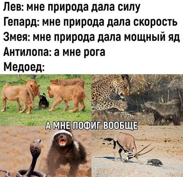 1-5.jpg