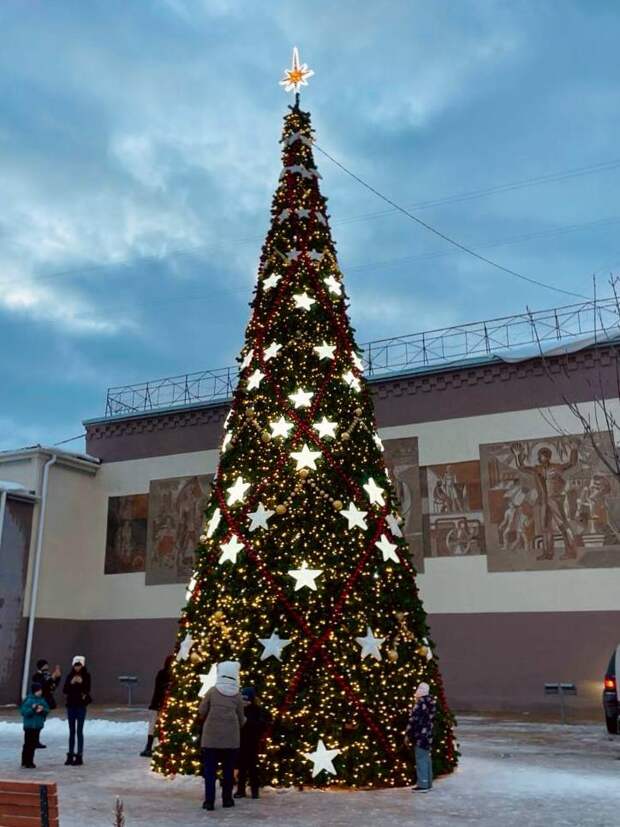 Нижегородцев приглашают поддержать новогодние ели, заявленные от региона во всероссийском конкурсе «Елки России»