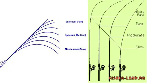 Fast что означает. Medium fast Строй спиннинга. Regular Строй спиннинга. Строй Медиум у спиннинга. Medium Heavy Строй спиннинга.
