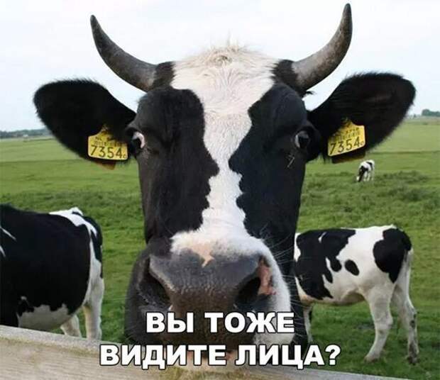 Лица ) Лица )