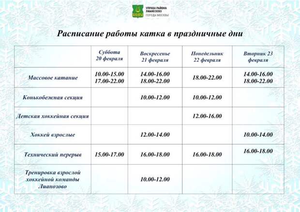 Опубликован график работы ледовой площадки в Вологодском проезде в праздники