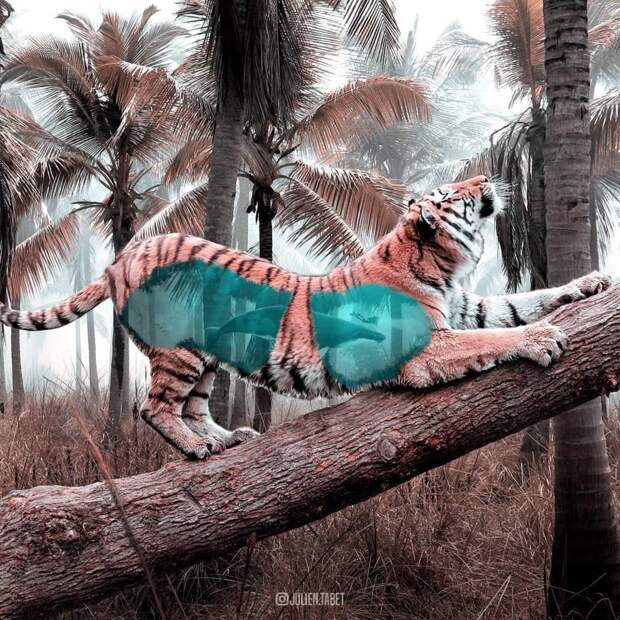 художник использует фотошоп для создания животных, Жюльен Табет