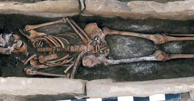 Генетики расшифровали ДНК жителей Кубани XII–XIII веков и обнаружили разные отцовские линии