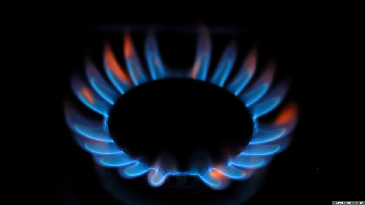 В Сербии назвали цену на российский газ достижением президента Вучича