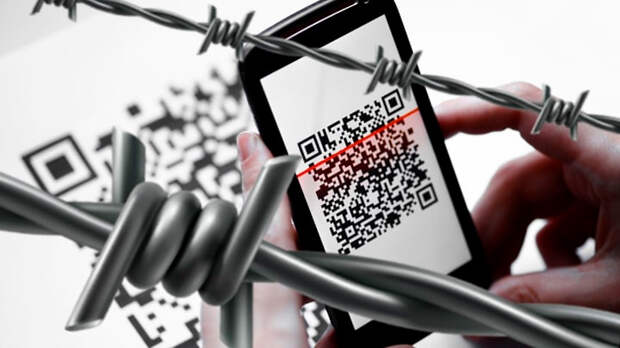 ИЗ ЛУЧШИХ ПОБУЖДЕНИЙ: ЧТО ОБЩЕГО У QR-КОДОВ И КОЛЮЧЕЙ ПРОВОЛОКИ