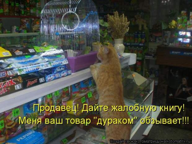 Продавец! Дайте жалобную книгу!