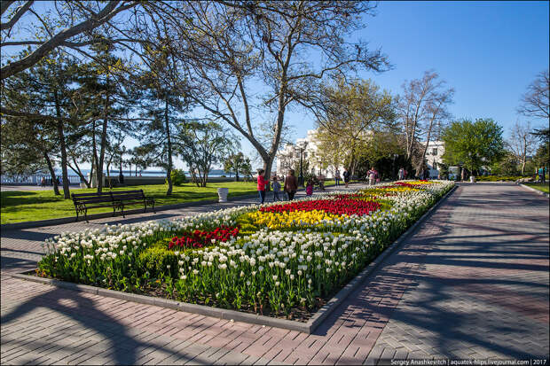 Севастополь, весна 2017