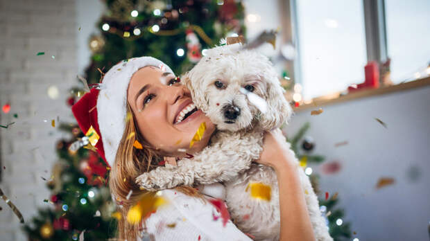 Кинолог Смолькина рассказала о подготовке питомца к Новому году
