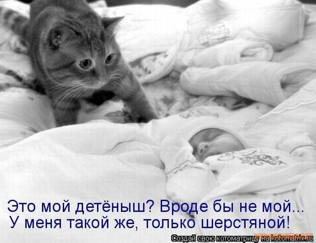 Уфф!!! Ну наконец-то! Котоматрицы великолепные, каждая с улыбкой и хорошим настроением!