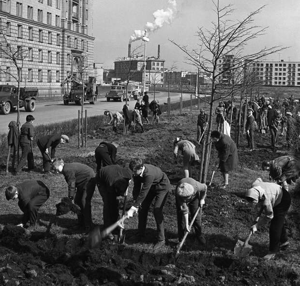 Как проходили советские «субботники» (ФОТО)