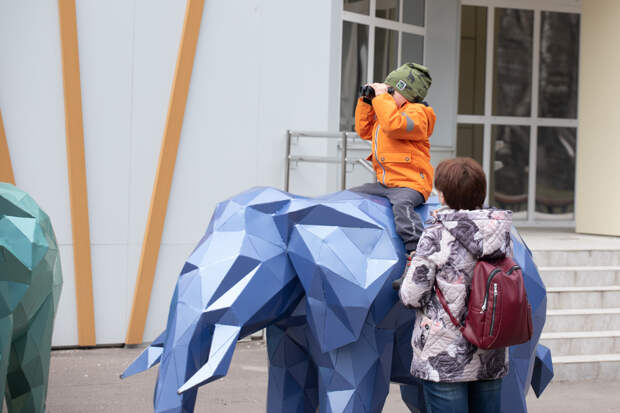 Более 2,8 тысячи тульских семей получают ежемесячные выплаты из материнского капитала