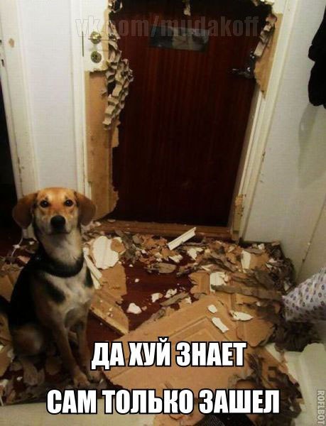 Всяко - разно 12 )))