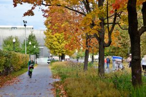 Экскурсию организуют сотрудники Парка Горького. Фото: Анна Быкова