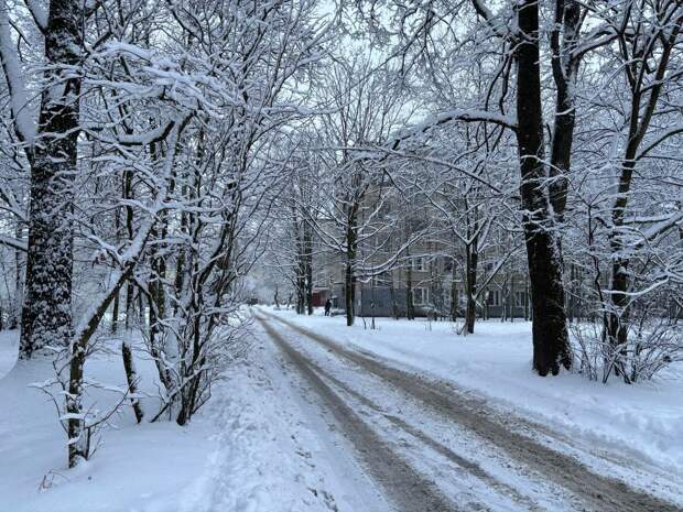 В Петербурге на выходных может похолодать до -25 градусов
