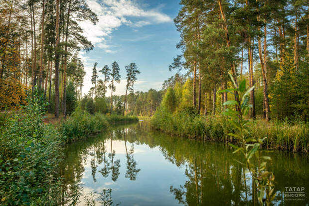 Татарстанда 1 апрельдә санитар-экологик икеайлык башлана