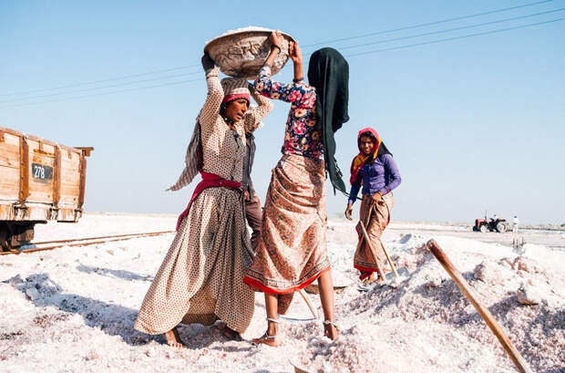 Работа сборщиков соли в Индии в фотографиях