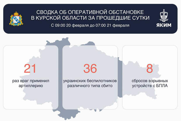 Хинштейн: ВСУ атаковали артиллерией Курскую область 21 раз за сутки