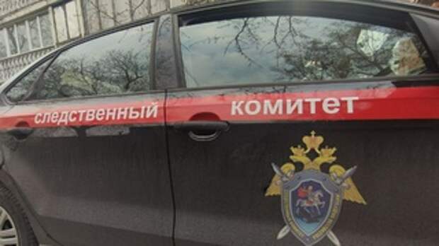 Следственный комитет России / Фото: amic.ru / Екатерина Смолихина