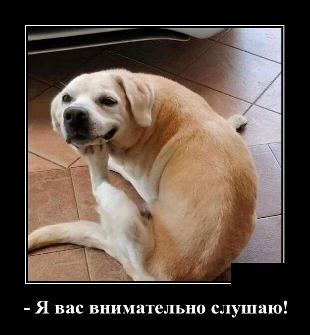 www.vsyako.net