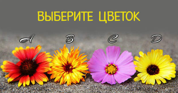 Выберите цветок и получите мощное послание