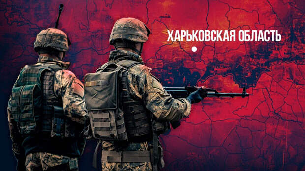 Коллаж NovorosInform
