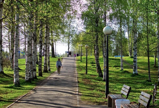 Два сквера и парк благоустроят в Архангельске по нацпроекту
