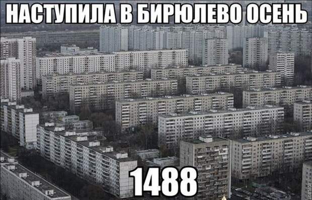 Прикольные картинки Прикольные картинки