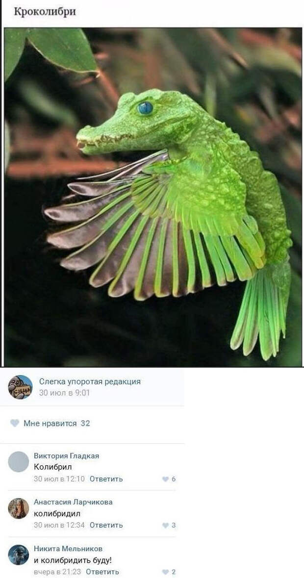 Приколы Приколы
