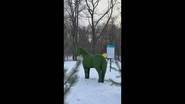 Парк Энергетиков вечером https://t.me/webmoney_dn/312287Video: Клип