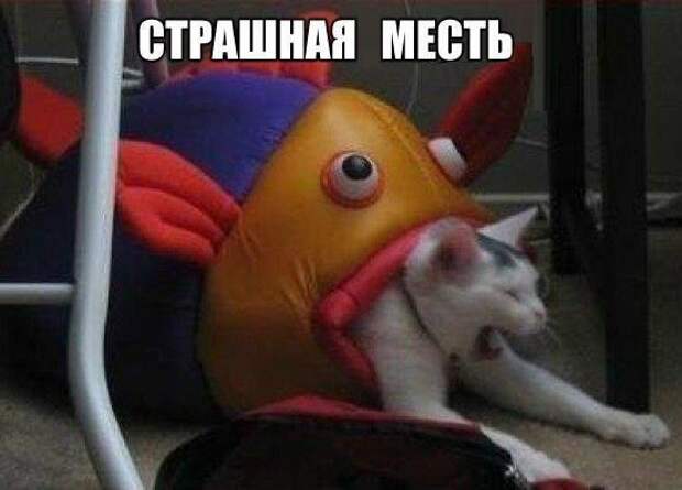 Смешные комментарии из соц.сетей