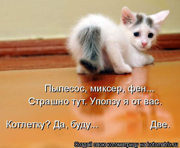 kotomatritsa_B8 (546x448, 179Kb)
