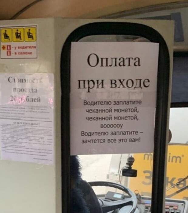 Фанат сериалов