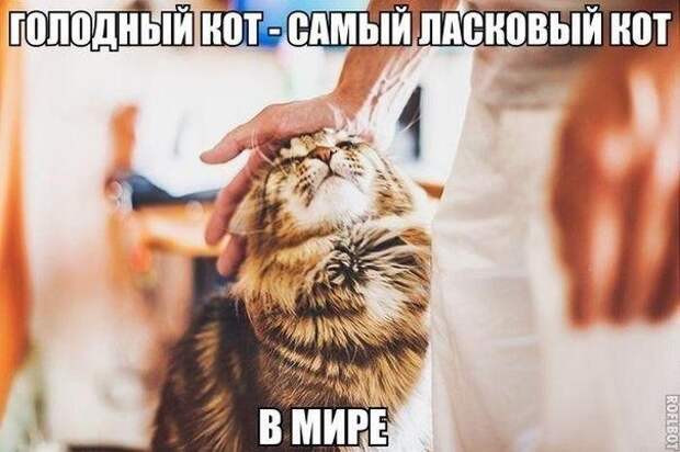Смехотерапия. Поднимаем настроение!