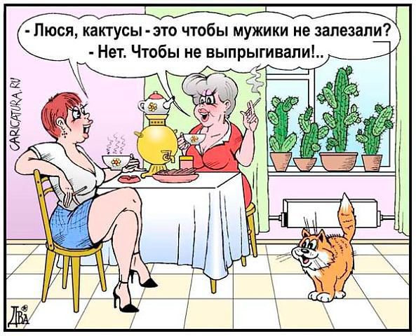 Прикольные картинки