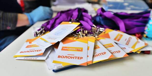 Волонтеры из Куркина помогли многодетным семьям из Тверской области