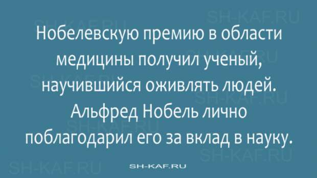 Самый лучший юмор – тот, что на злобу дня
