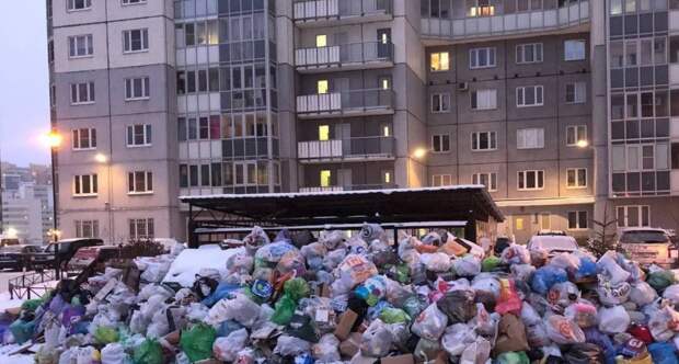 Ветеран Курбанов призвал Минобороны РФ помочь решить проблему с мусором в Петербурге