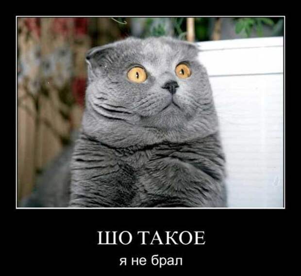 Забавные и прикольные демотиваторы для веселья (10 фото) Забавные и прикольные демотиваторы для веселья (10 фото)