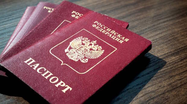 Комитет Госдумы одобрил новые основания для лишения приобретенного гражданства РФ