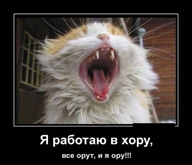 Демотиваторы (30 фото) Демотиваторы (30 фото)