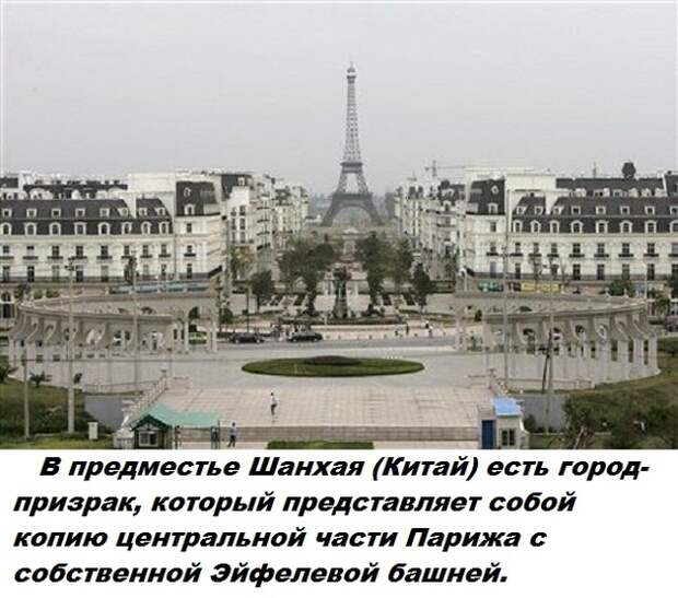 Самые бесполезные факты о которых вы не знали