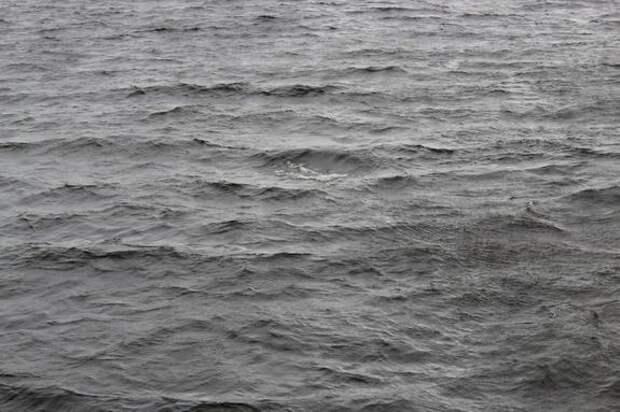 Петербургу не грозит затопление еще как минимум 200 лет