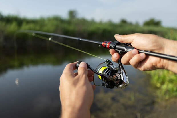 Врач Кашух: рыбу необходимо потрошить в течение 1-2 часов после вылова