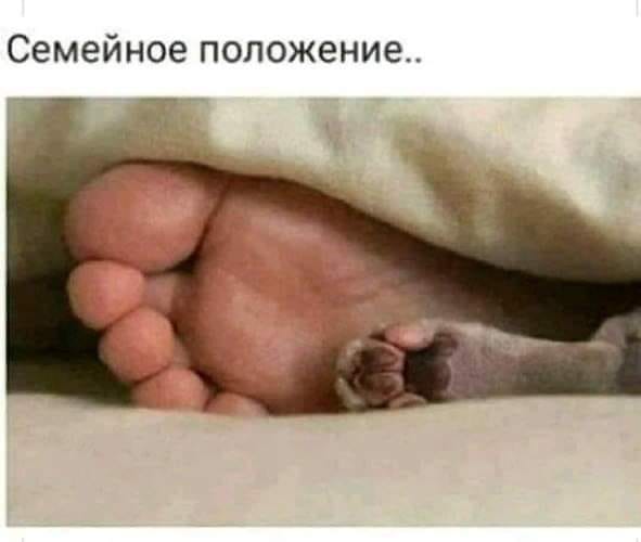 На изображении может находиться: один или несколько человек, текст «семейное положение..»