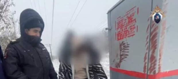 Задержаны несовершеннолетние террористы и диверсанты, действовавшие по указке украинских кураторов